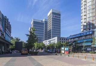 山东蜈蚣虫珀价格