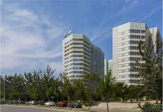 长宁区租二手叉车